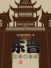 九龙圣祖在线阅读