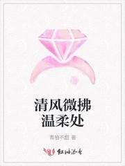 桃源小神医杨辰