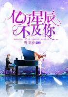 大夏天九皇子全集完整版